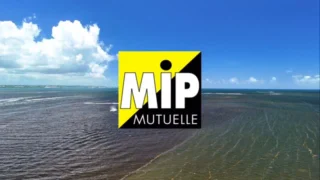 Retour en images sur une aventure unique ✨

Quel honneur pour la MIP Mutuelle d’avoir accompagné l’équipage Pa Oubliyé  lors de ce Traditour 2025 💛 
Un partenariat placé sous le signe du partage, de la passion et de la fierté guadeloupéenne ! 🌊⛵

Merci à l’équipage pour ces moments riches en émotions et bravo pour cette belle aventure 👏
La MIP Mutuelle est fière de soutenir les initiatives qui rassemblent et font vibrer notre territoire ! 💛💚

#MIPMutuelle #Traditour2025 #paoubliyé #Partenariat #FiersDeNosCouleurs #Guadeloupe #MutuelleProcheDeVous #FiertéLocale #Solidarité #SportEtTradition